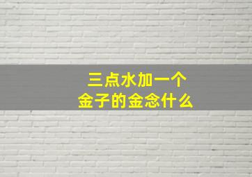 三点水加一个金子的金念什么