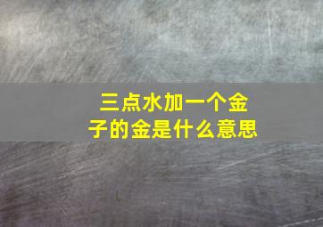 三点水加一个金子的金是什么意思