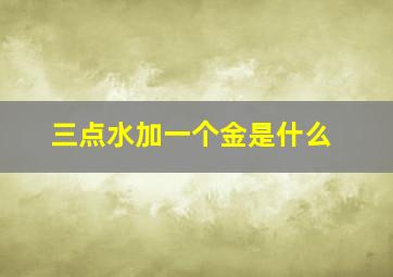 三点水加一个金是什么