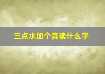 三点水加个真读什么字