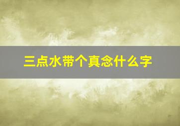 三点水带个真念什么字