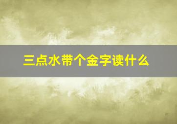 三点水带个金字读什么