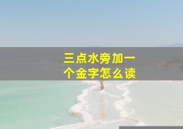 三点水旁加一个金字怎么读