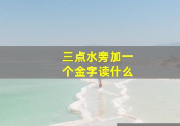 三点水旁加一个金字读什么