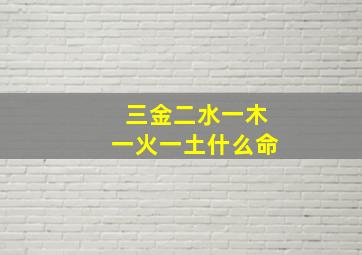 三金二水一木一火一土什么命