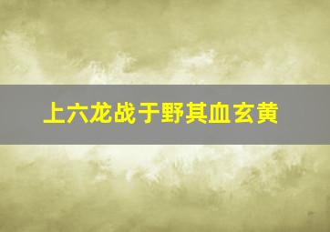 上六龙战于野其血玄黄