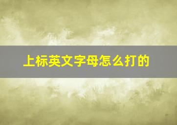 上标英文字母怎么打的