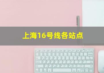 上海16号线各站点