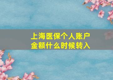 上海医保个人账户金额什么时候转入