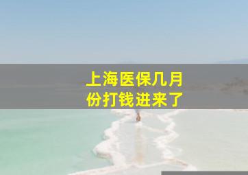 上海医保几月份打钱进来了