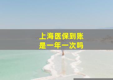 上海医保到账是一年一次吗