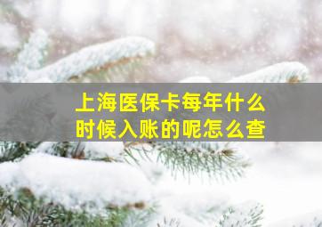 上海医保卡每年什么时候入账的呢怎么查