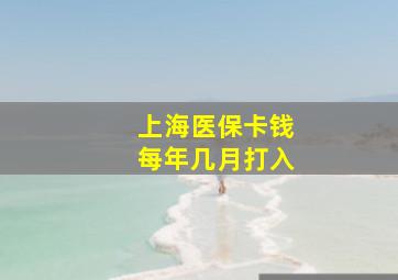 上海医保卡钱每年几月打入