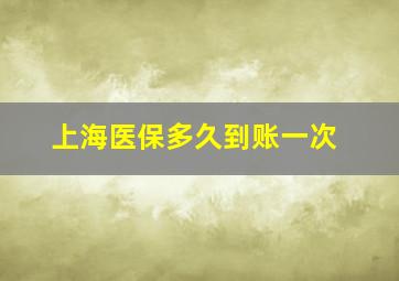 上海医保多久到账一次