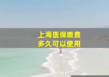 上海医保缴费多久可以使用