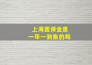 上海医保金是一年一到账的吗