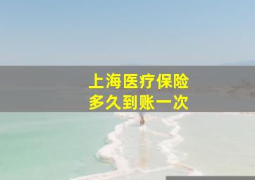 上海医疗保险多久到账一次