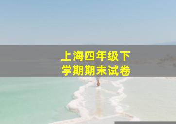 上海四年级下学期期末试卷