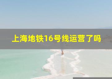 上海地铁16号线运营了吗