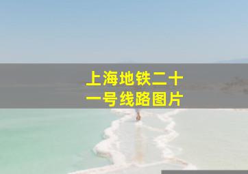 上海地铁二十一号线路图片