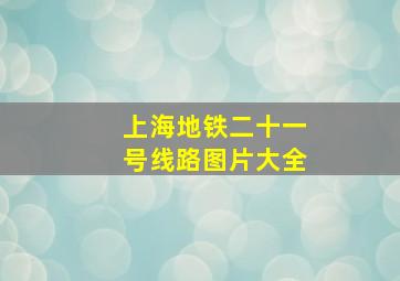 上海地铁二十一号线路图片大全