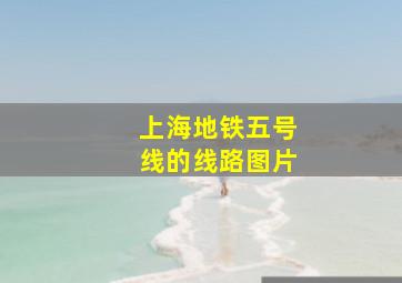 上海地铁五号线的线路图片