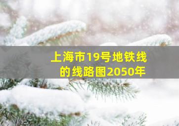 上海市19号地铁线的线路图2050年