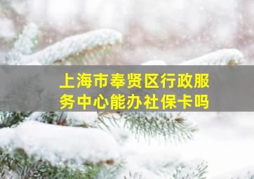 上海市奉贤区行政服务中心能办社保卡吗