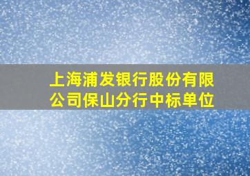 上海浦发银行股份有限公司保山分行中标单位