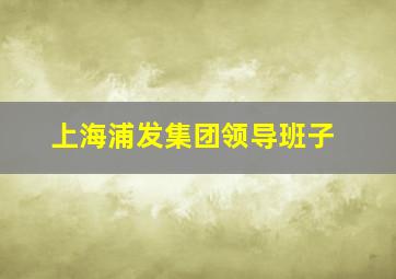 上海浦发集团领导班子