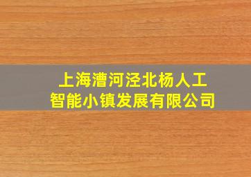 上海漕河泾北杨人工智能小镇发展有限公司