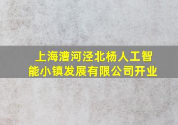 上海漕河泾北杨人工智能小镇发展有限公司开业