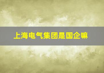 上海电气集团是国企嘛