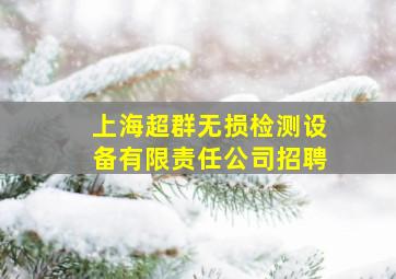 上海超群无损检测设备有限责任公司招聘