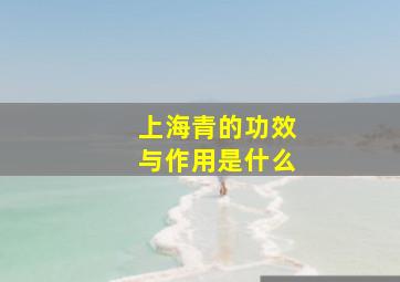 上海青的功效与作用是什么