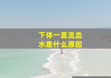 下体一直流血水是什么原因