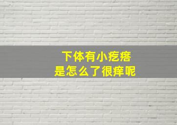 下体有小疙瘩是怎么了很痒呢