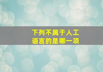 下列不属于人工语言的是哪一项