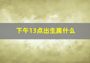 下午13点出生属什么