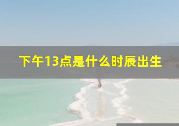 下午13点是什么时辰出生