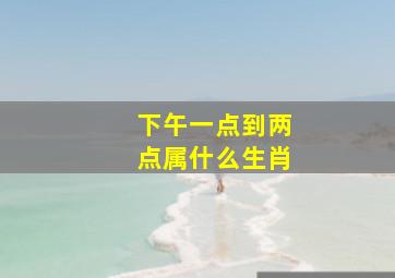 下午一点到两点属什么生肖