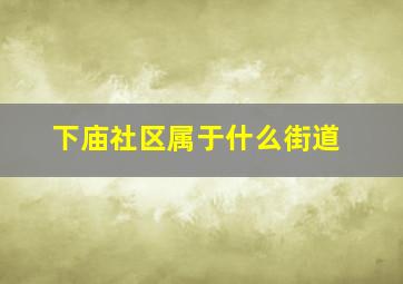 下庙社区属于什么街道