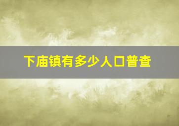 下庙镇有多少人口普查