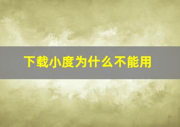 下载小度为什么不能用