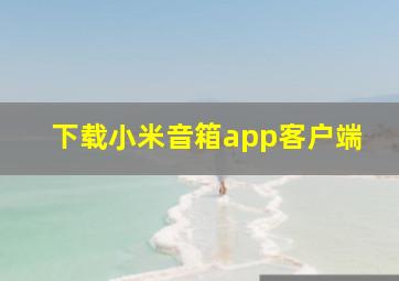 下载小米音箱app客户端