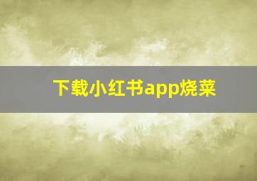 下载小红书app烧菜