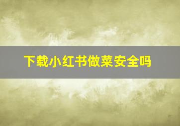 下载小红书做菜安全吗