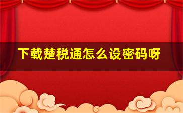 下载楚税通怎么设密码呀