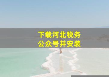 下载河北税务公众号并安装