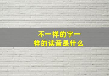 不一样的字一样的读音是什么